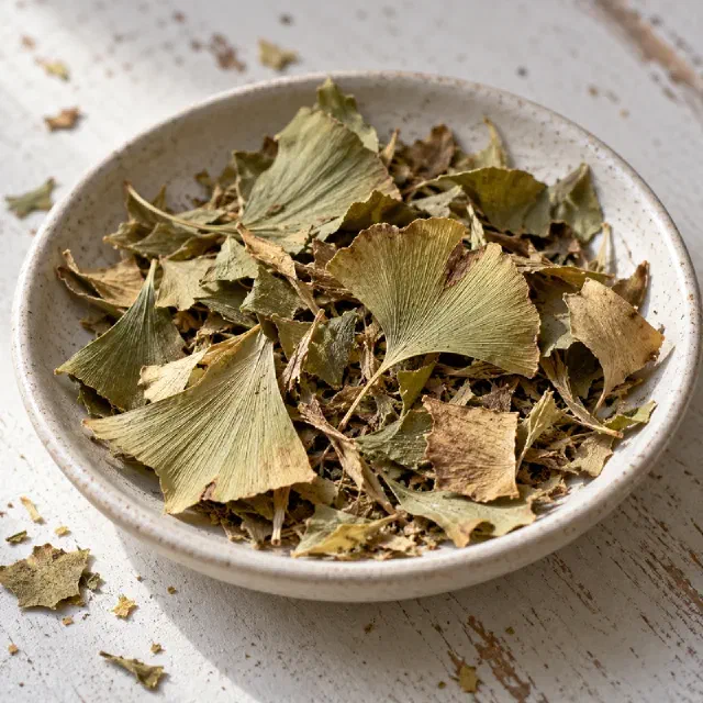 Ginkgo (feuille coupée)