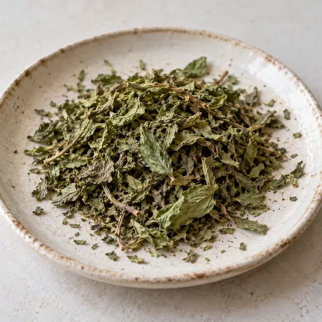 Menthe
