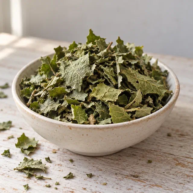 Mûrier (feuille)