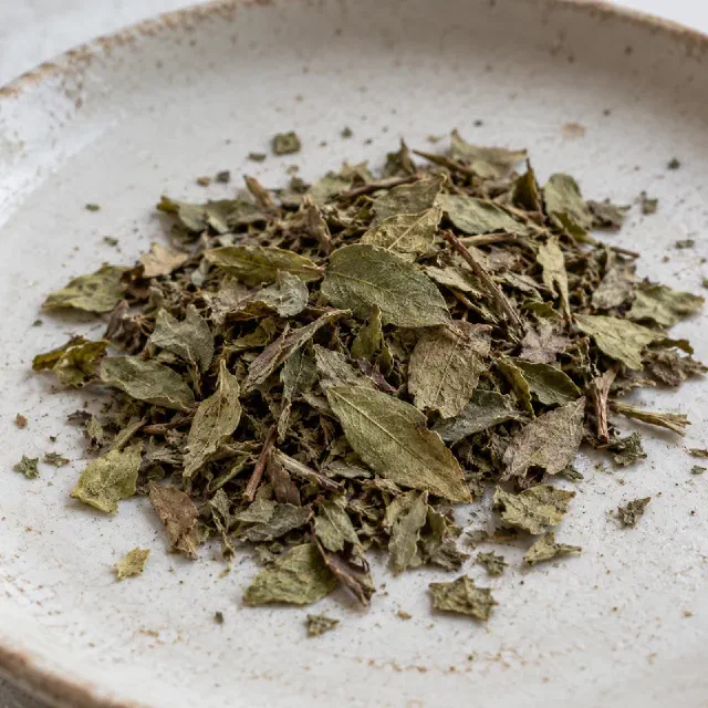 Myrtille (feuille)