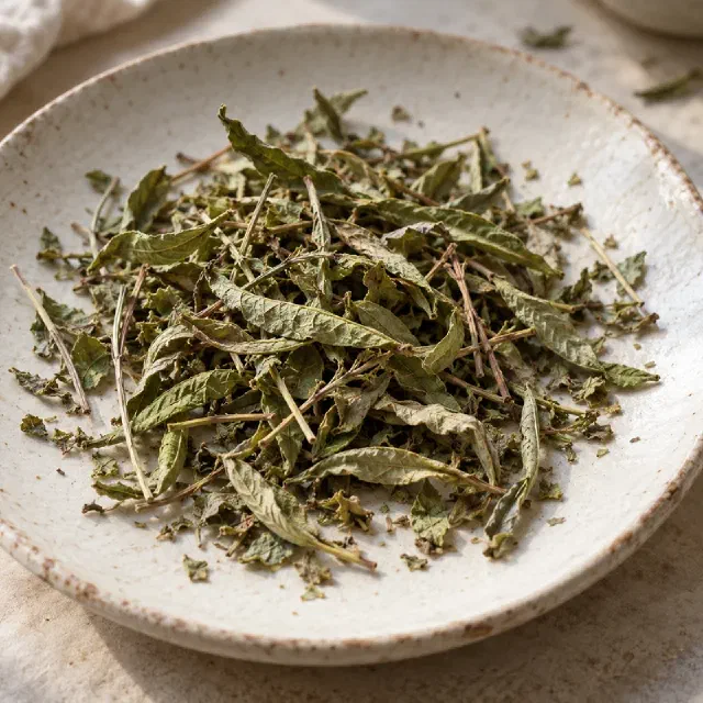 Verveine